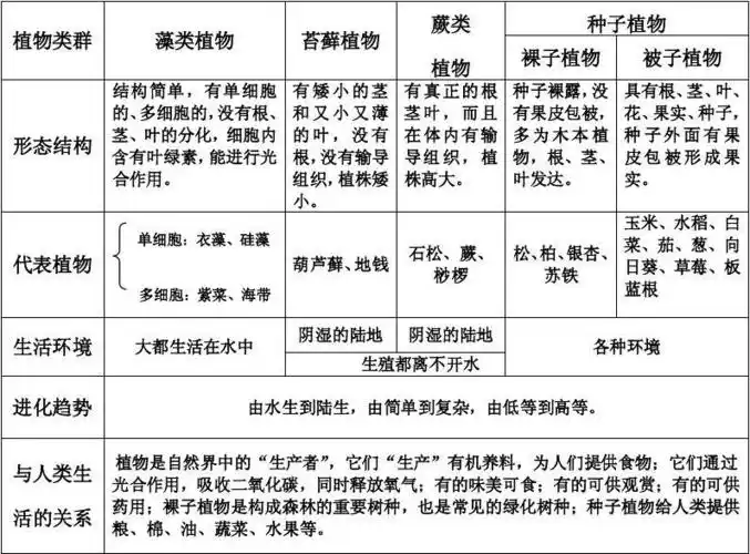 五彩缤纷的植物世界