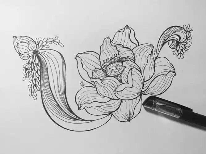 毕业于华中师范大学 作品简单易学,一支笔就可以画出可爱的线描花卉