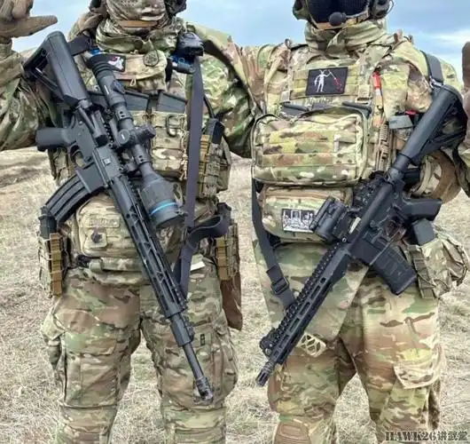 集腋成裘法国护卫舰作战情报中心内部曝光小羚羊装加特林