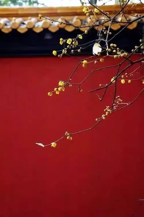 中国红,千年流传的极致惊艳