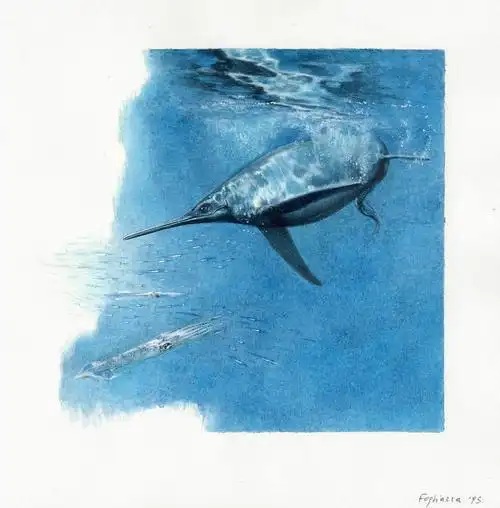 24亿年前三叠纪的海洋霸主贝桑龙besanosaurusleptorhynchus