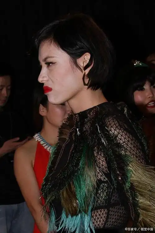 葛荟婕谈汪峰离婚心情好透露女儿小苹果近况直言不恨子怡姐姐