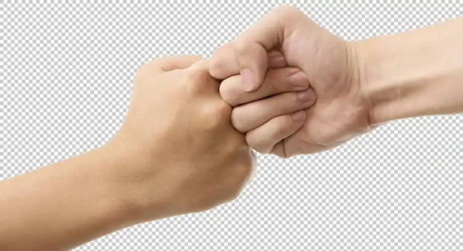 手势免扣图 (74)