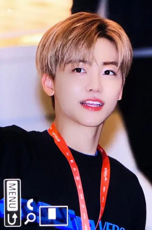 罗渽民人间理想