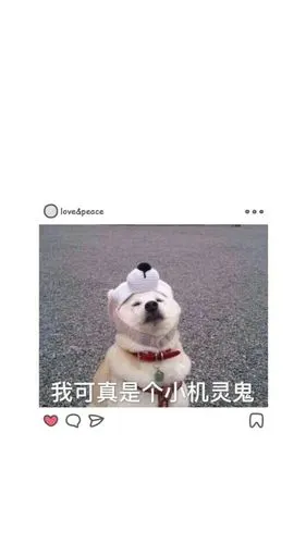 嘿嘿,我真是个小机灵鬼^o