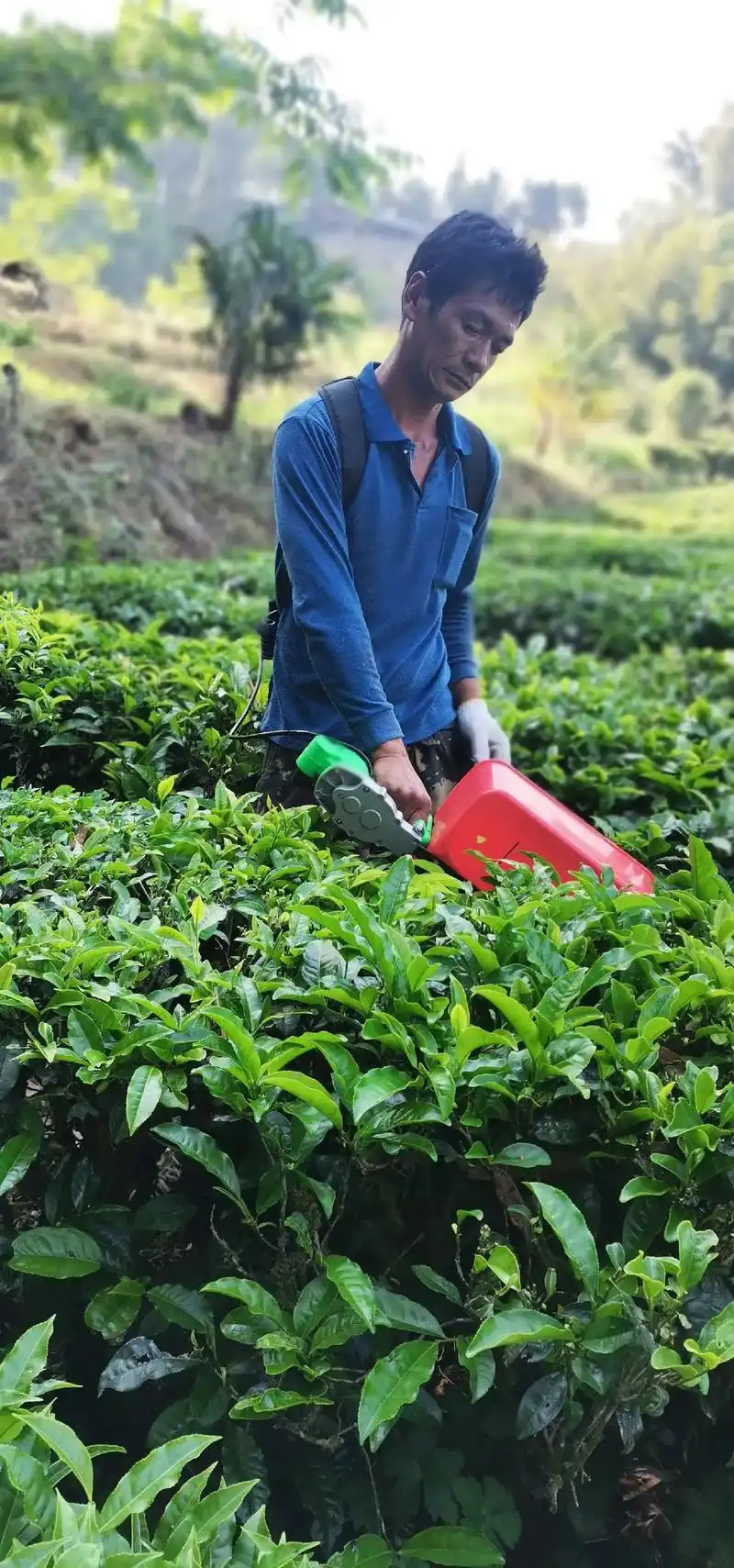 就是这位大哥辛勤的劳作,才换回了家里的所需.