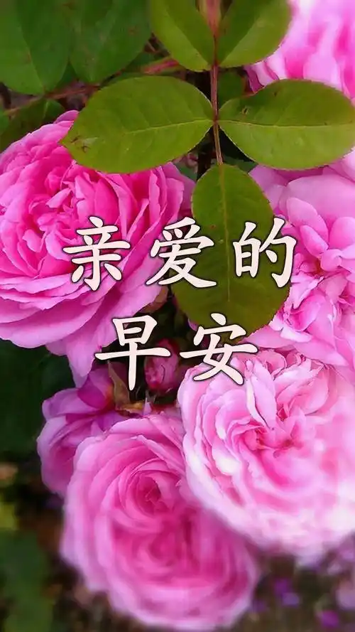 则去,说喜欢你但是以各种理由拖着你,跟你暧昧却不为你们在一起而努力