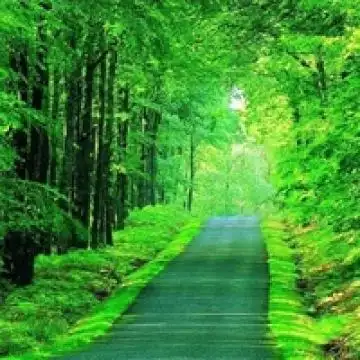 孤独是空气,你呼吸着它而感觉到自己存在,风景头像图片-回车桌面