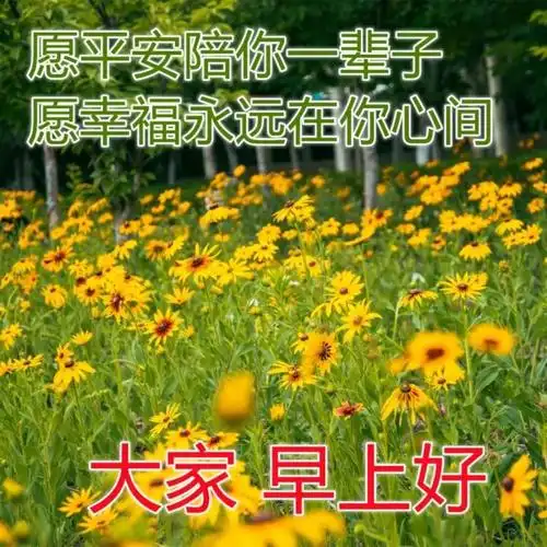 大家早晨好问候祝福图片 清晨聊天问候早上好图片