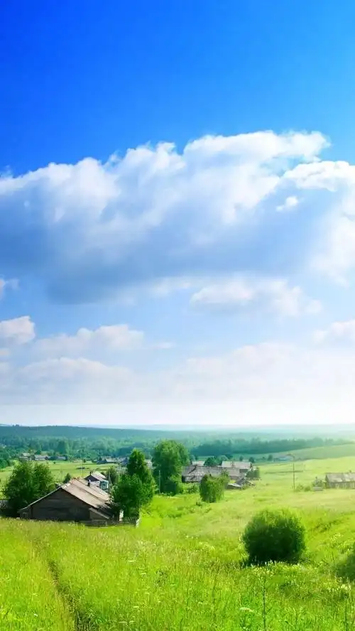 蓝天白云草原h5背景