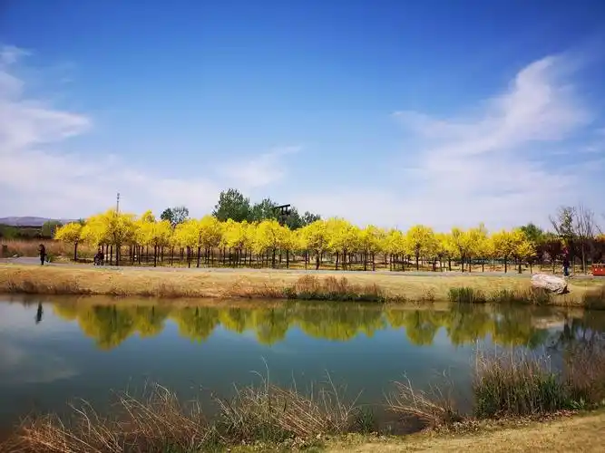 花海湿地 富美鹤壁