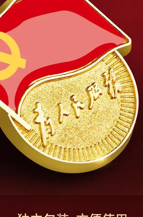 2022新款党徽大磁铁标准型党章胸针胸章蝴蝶扣强磁党员中组部监制别针