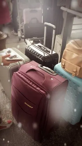 每人一个行李箱,婷婷大仙的行李箱最重,有点像带了全身家当的赶角