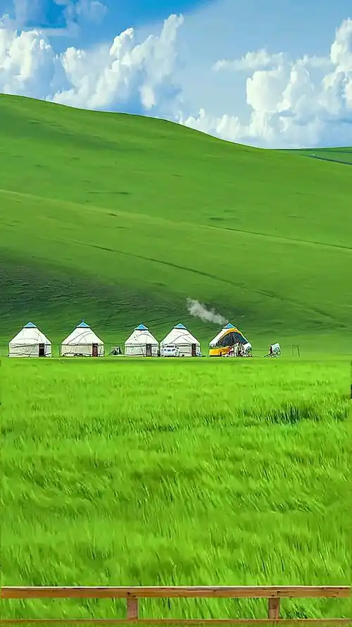 #呼伦贝尔大草原#这不是国外,这是祖国的呼伦贝尔草原,是世界上最大最