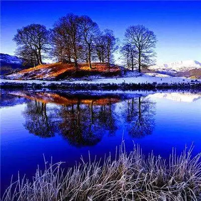 清新好看绿色系很优质的风景头像简单大方的有气质风景头像最新