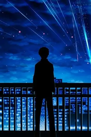 你的名字,流星,男孩,剪影,围栏,自行车