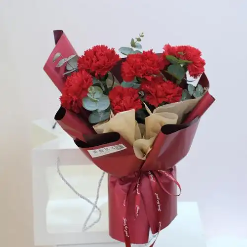 母亲节花束红色康乃馨花束
