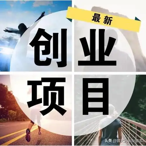 创业小项目什么最挣钱(几百元创业小项目)