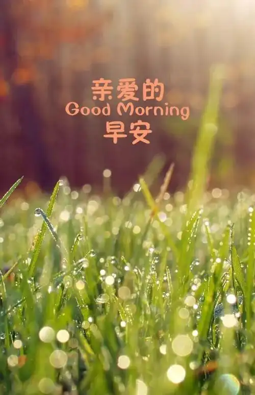 亲爱的早安带字图片