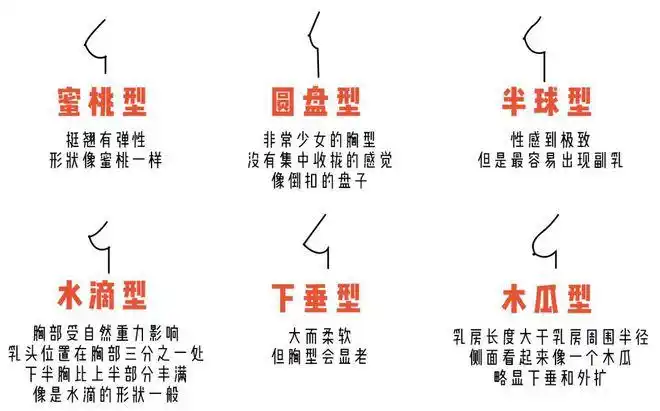 一般情况下,胸型有以下六种.
