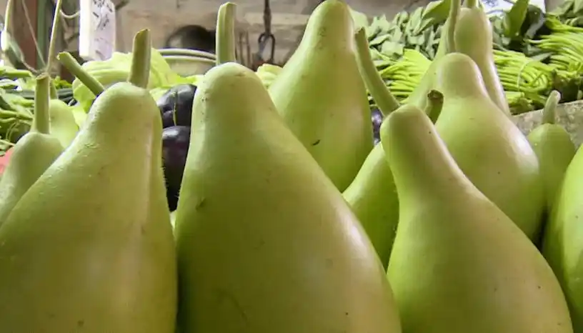 这种带苦味的瓜,千万别吃!_葫芦瓜