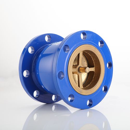 hc41x16球墨铸铁法兰消声立式止回阀水泵弹簧逆止单向阀止回阀