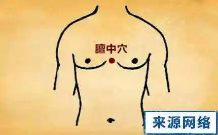 膻中穴位位置图膻中在哪
