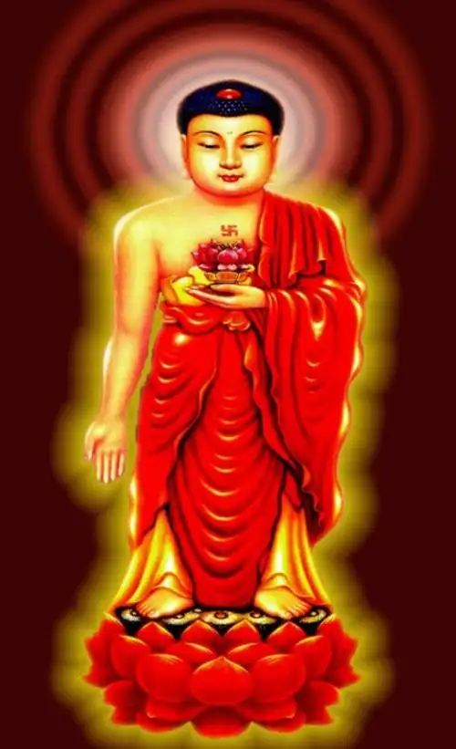 念佛念哪位佛菩萨圣号最好(阿弥陀佛光中极尊)(1)