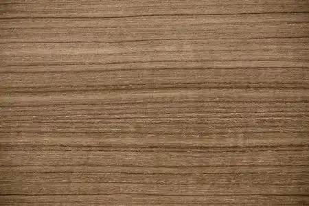 天然木材的花纹照片