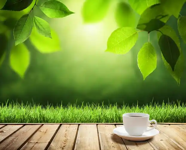 杯咖啡和阳光树背景