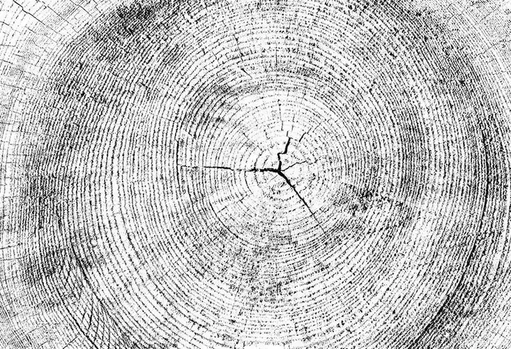 旧木板木墙背景旧木头的纹理风化的木头图像包括黑白色调的效果