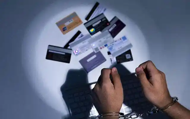 互联网金融犯罪的表现形式和特点