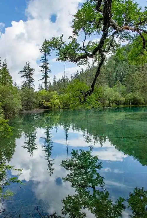 镶嵌在川西北高原上的璀璨明珠---神仙池_钙化_九寨沟县_风景区