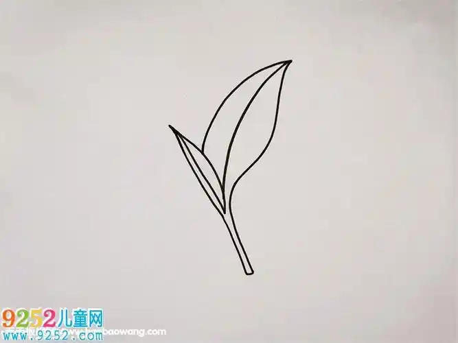 茶叶书签画法简笔画