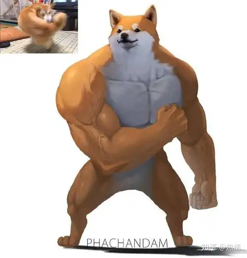 想要这张阿柴犬总的肌肉原图