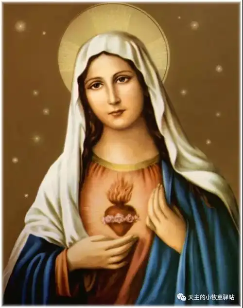 圣母无玷圣心纪