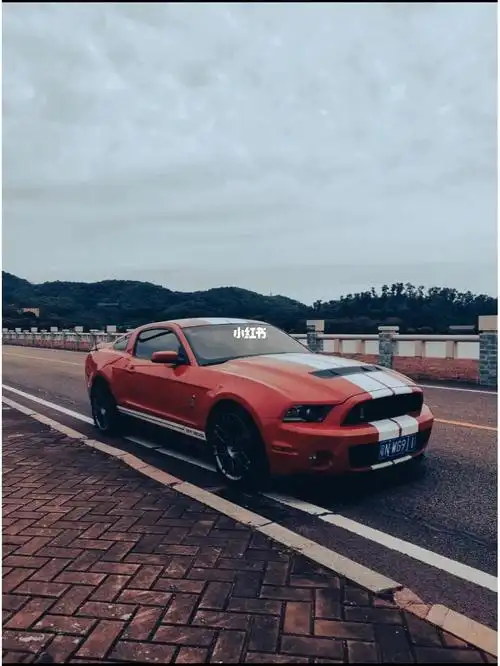 经典五代野马猜猜是多大排量04