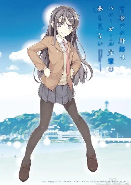 会员青春猪头少年系列樱岛麻衣高清图片cg包350p