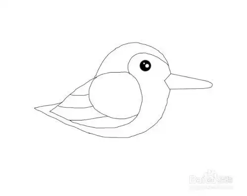 勺嘴鹬怎么画