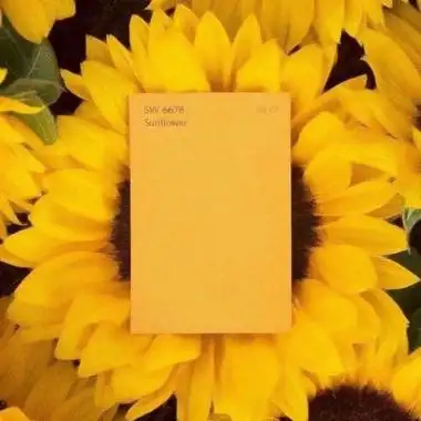 黄色系静物图片头像