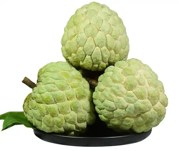 顺丰泰国大目凤梨释迦果番新鲜当季水果大果佛头果1到5斤 1500g 严选