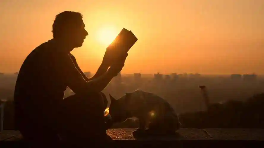 男人看书,男士休闲生活,人物背影剪影