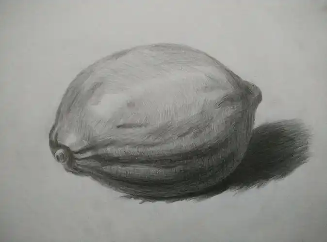 部分素描作品|纯艺术|绘画|lin_锅锅 - 原创作品 - 站酷 (zcool)