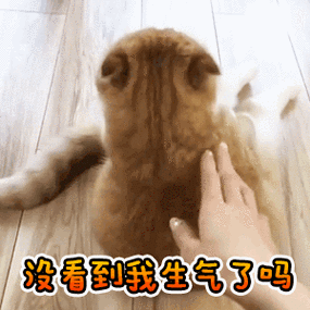 生气表情包图片大全没看到我在生气吗不想和你说话走开啦