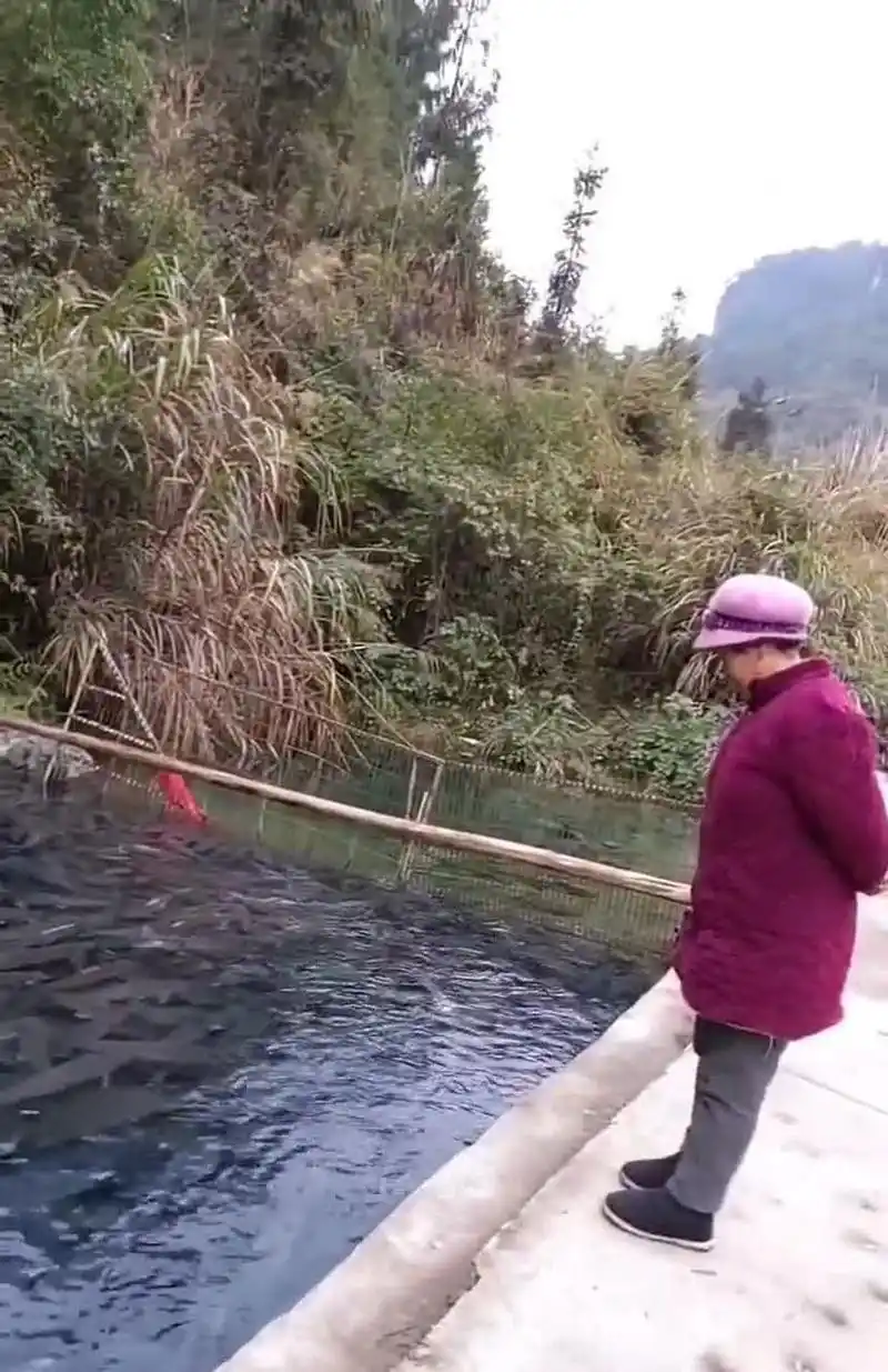 这里的人不吃鱼吗?[大笑]