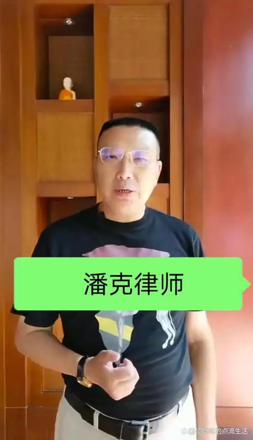 潘克律师简介