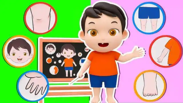 益智宝贝  认识身体部位,早教动画
