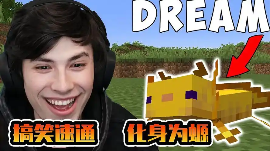 化身为螈的dream挑战速通,搭档乔治搞笑不断,解救小鸡骑士