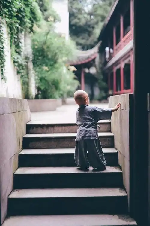 目测要火常熟兴福寺里来了个萌萌的小和尚