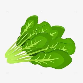 绿色卡通菠菜手绘图
